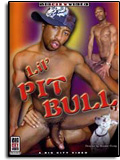 Lil' Pit Bull